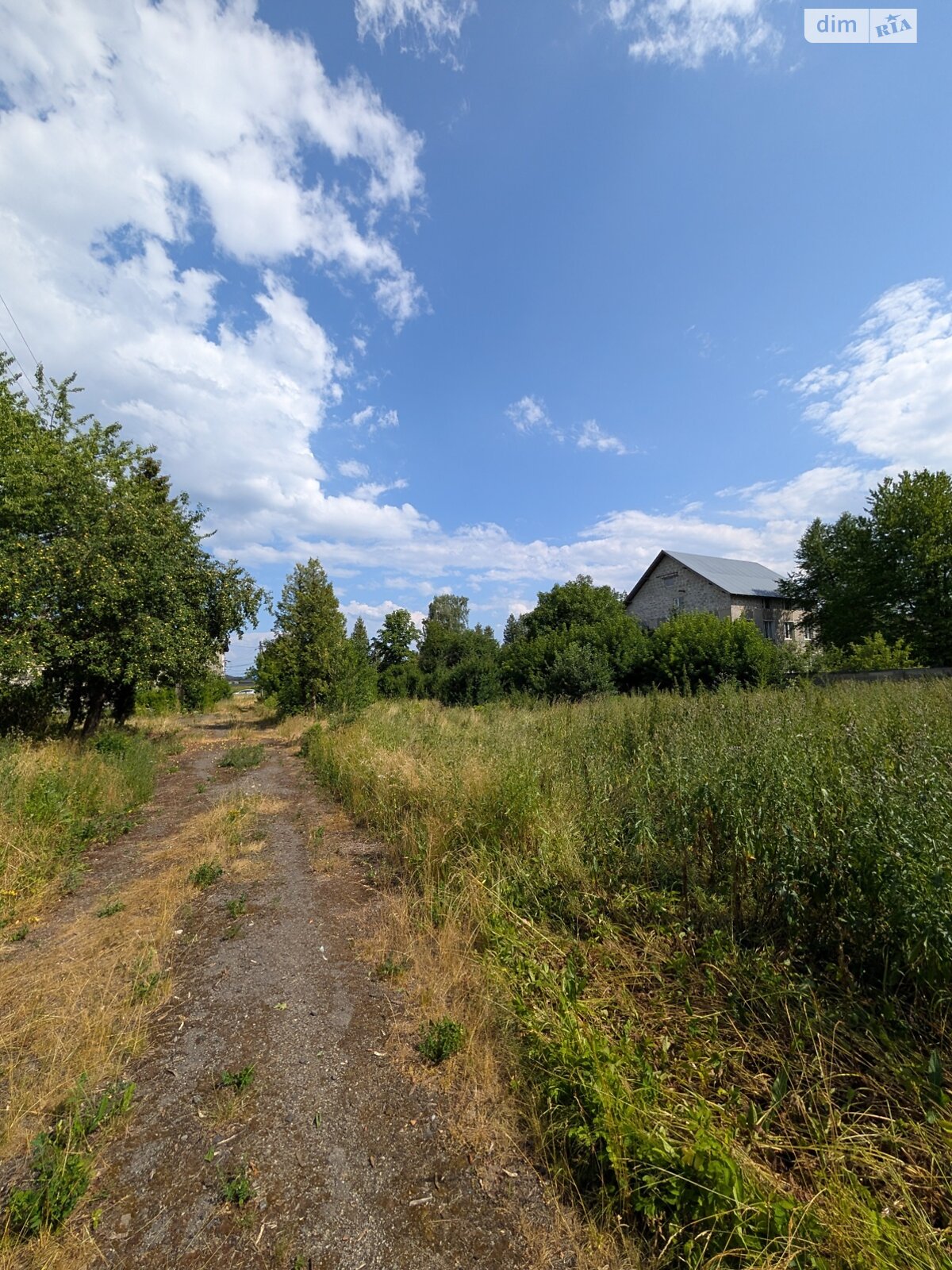 Коммерческое помещение в Подлужьем, Тараса Шевченко улица, цена: продажи 782 000 долларов за объект фото 1 Коммерческое помещение в Подлужьем, Тараса Шевченко улица, цена продажи: 782 000 долларов за объект фото 1