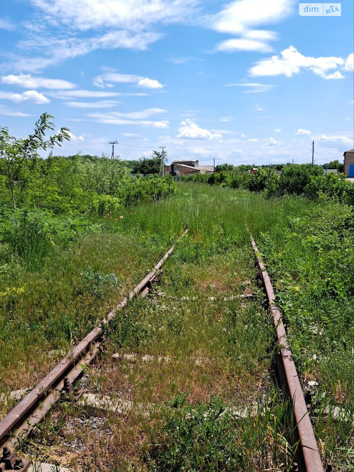 Коммерческое помещение в Попелюхи, тараса шевченко, цена продажи: 150 000 долларов за объект фото 1