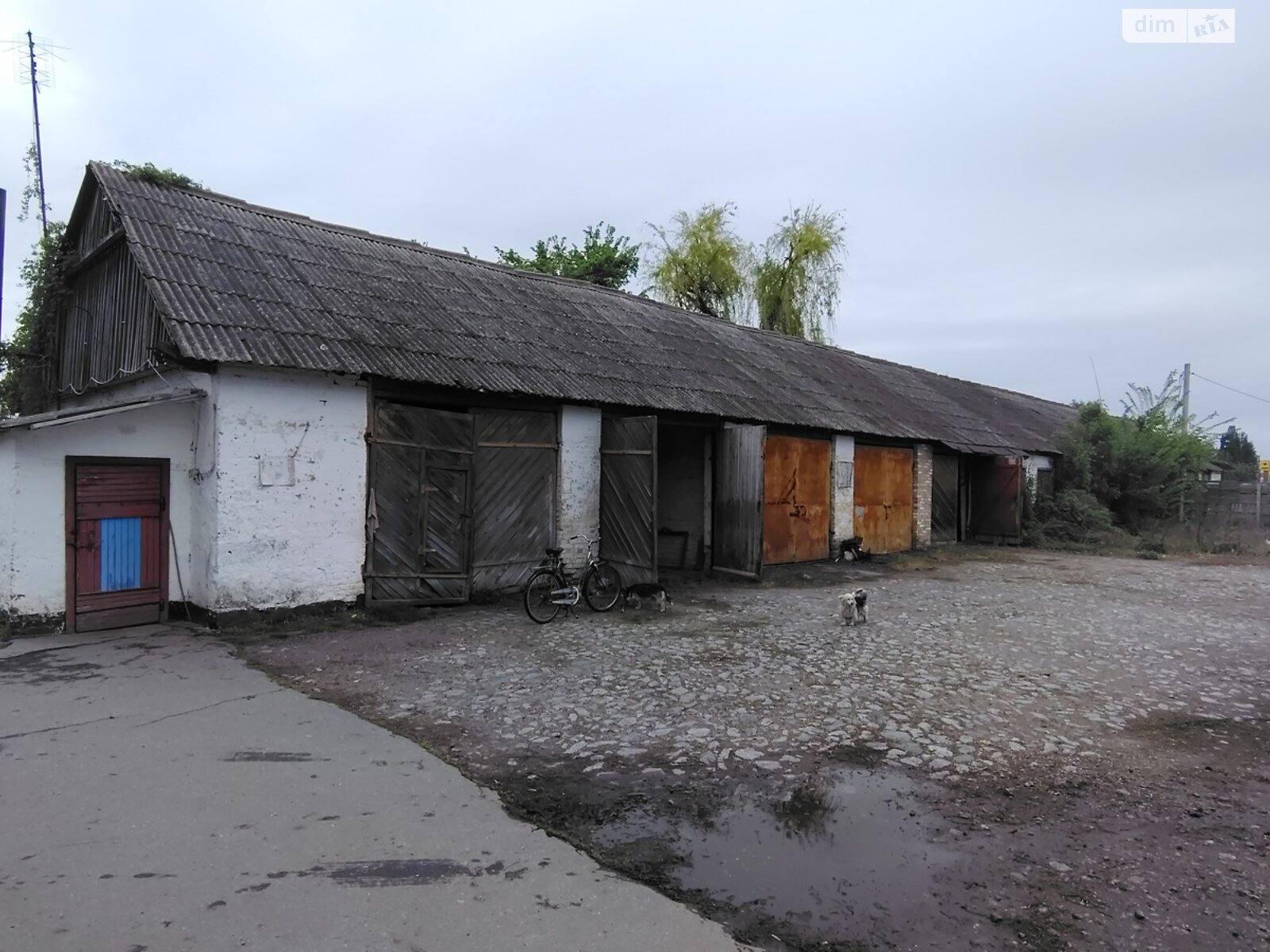 Комерційне приміщення в Рокитному, Незалежності (Леніна) вулиця, ціна продажу: 42 000 доларів за об’єкт фото 1 Комерційне приміщення в Рокитному, Незалежності (Леніна) вулиця, ціна продажу: 42 000 доларів за об’єкт фото 1