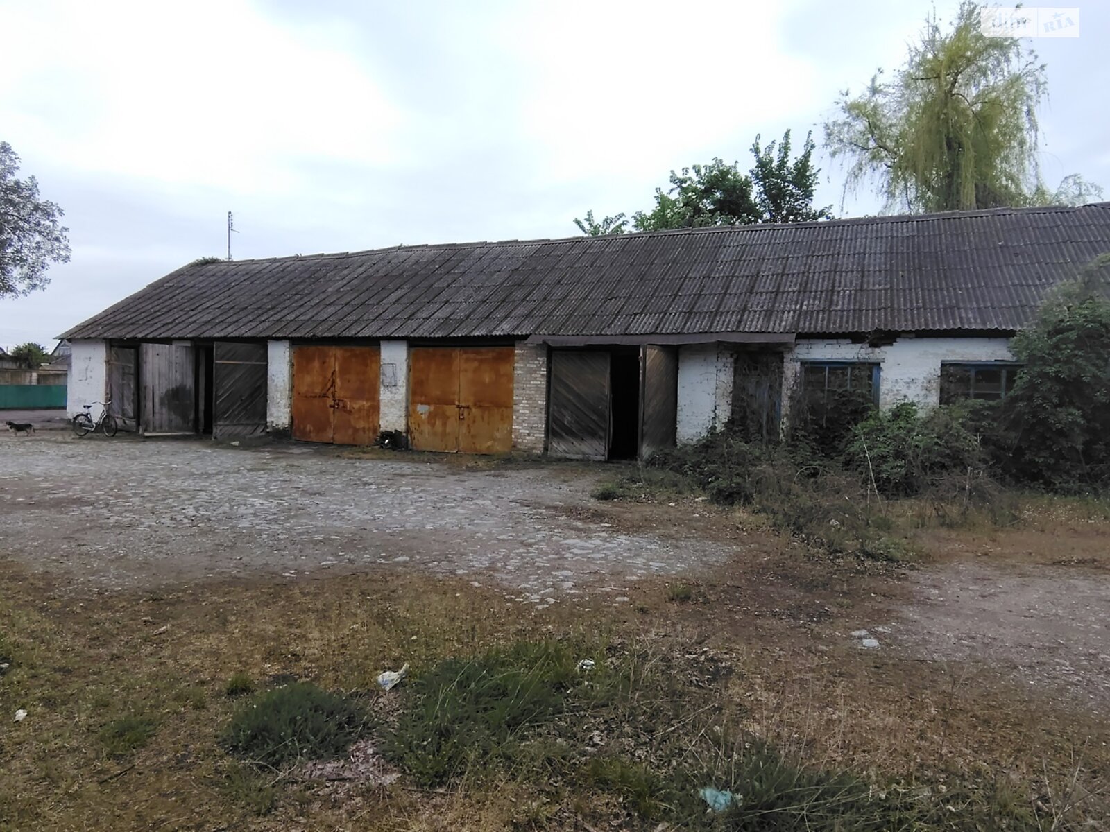 Комерційне приміщення в Рокитному, Незалежності (Леніна) вулиця, ціна продажу: 42 000 доларів за об’єкт фото 1 Комерційне приміщення в Рокитному, Незалежності (Леніна) вулиця, ціна продажу: 42 000 доларів за об’єкт фото 1