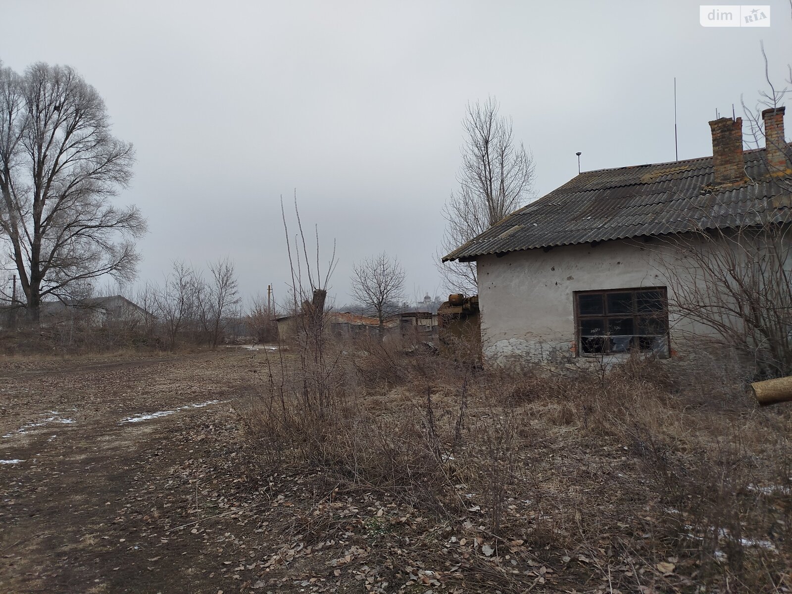 Коммерческое помещение в Романовом Селе, Садовая улица, цена: продажи 70 000 долларов за объект фото 1 Коммерческое помещение в Романовом Селе, Садовая улица, цена продажи: 70 000 долларов за объект фото 1
