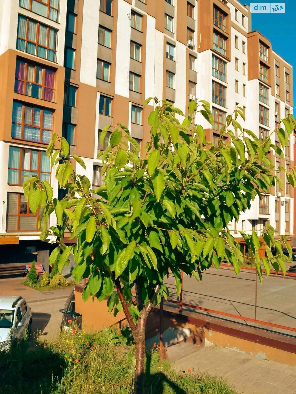 Коммерческое помещение в Ровно, продажа по Защитников Мариуполя (Костромская) улица 89, район Чайка, цена: 183 750 долларов за объект фото 1 Коммерческое помещение в Ровно, продажа по Защитников Мариуполя (Костромская) улица 89, район Чайка, цена: 183 750 долларов за объект фото 1