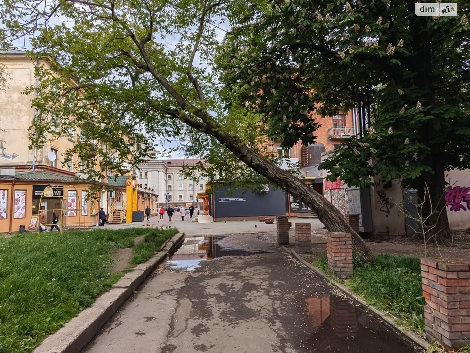 Коммерческое помещение в Ровно, продажа по Соборная улица, район Центр, цена: 90 000 долларов за объект фото 1 Коммерческое помещение в Ровно, продажа по Соборная улица, район Центр, цена: 90 000 долларов за объект фото 1