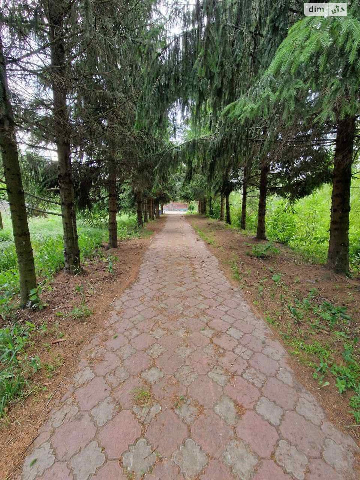 Коммерческое помещение в Широкой Гребле, Полевая улица, цена: продажи 320 000 долларов за объект фото 1 Коммерческое помещение в Широкой Гребле, Полевая улица, цена продажи: 320 000 долларов за объект фото 1