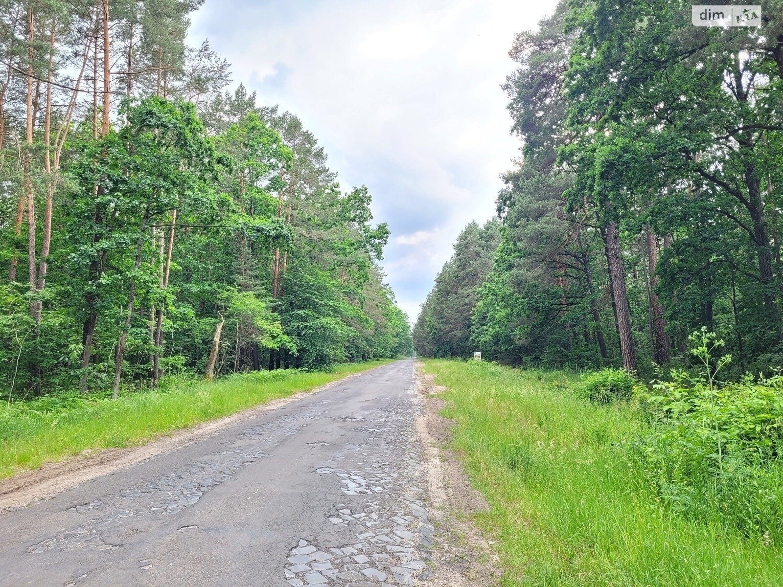 Коммерческое помещение в Сокиричах, Лісова, цена продажи: 107 000 долларов за объект фото 1