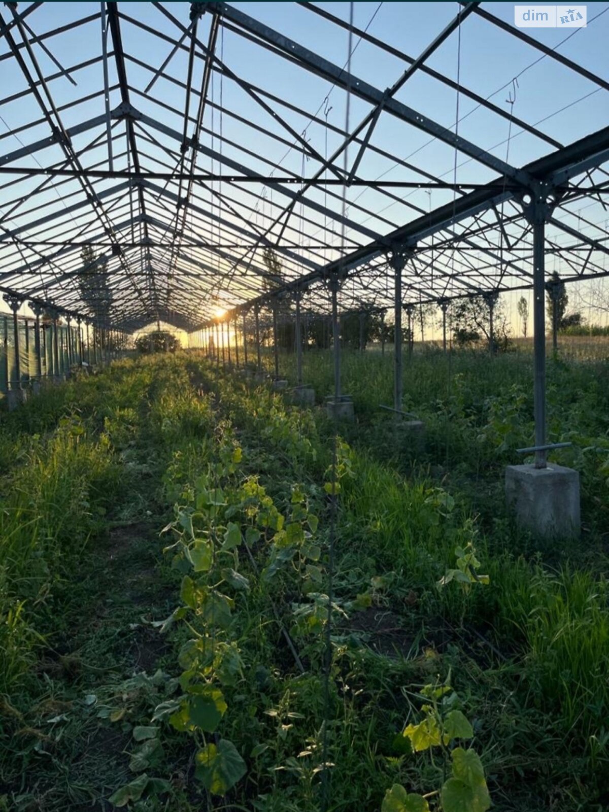 Комерційне приміщення в Соколовському, Нижня вулиця, ціна продажу: 26 000 долларів за об’єкт фото 1