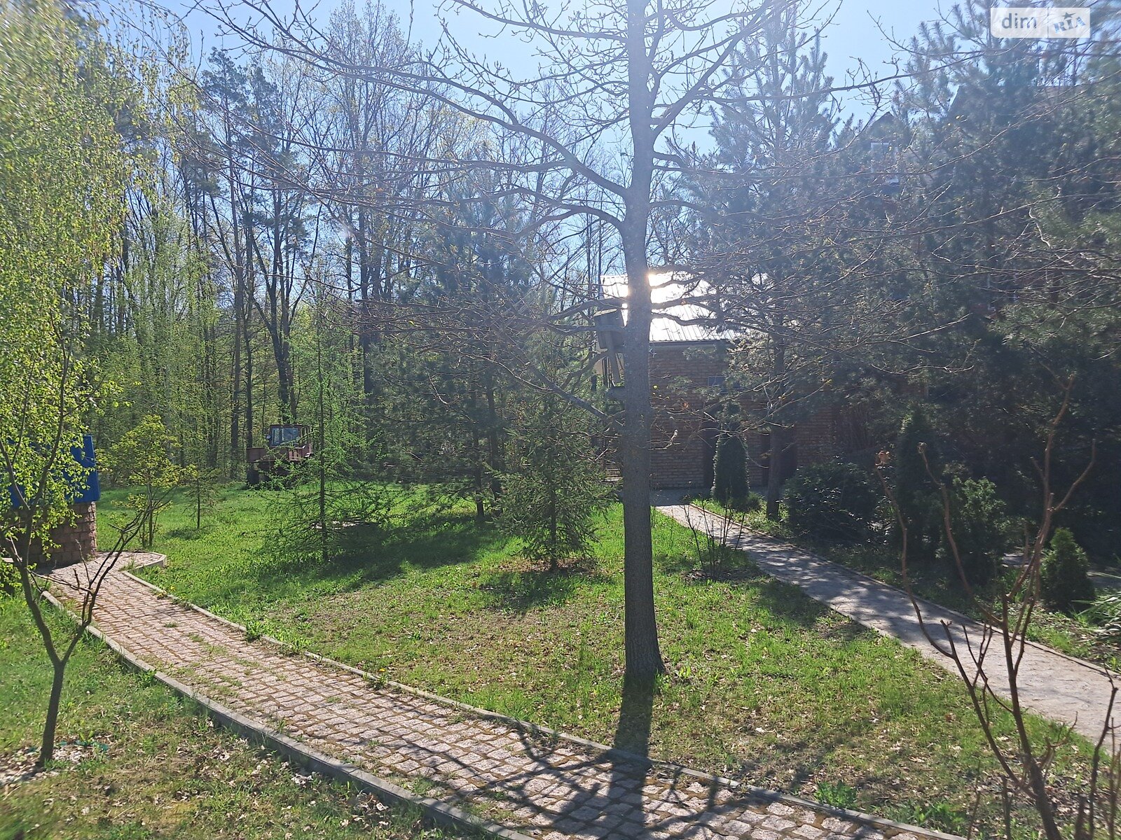 Комерційне приміщення в Сонячне, Кам’янка масив, ціна продажу: 285 000 доларів за об’єкт фото 1 Комерційне приміщення в Сонячне, Кам’янка масив, ціна продажу: 285 000 доларів за об’єкт фото 1