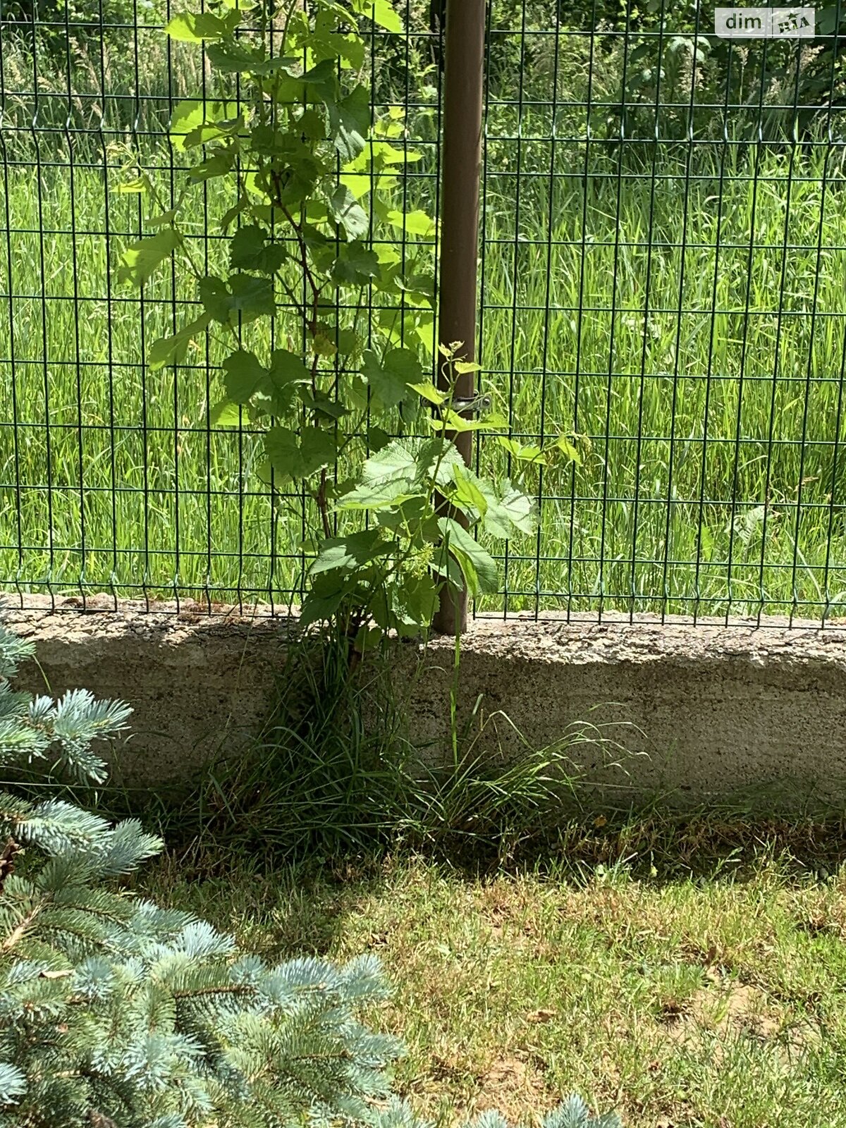 Коммерческое помещение в Солочине, Центральная улица 272, цена продажи: 299 999 долларов за объект фото 1