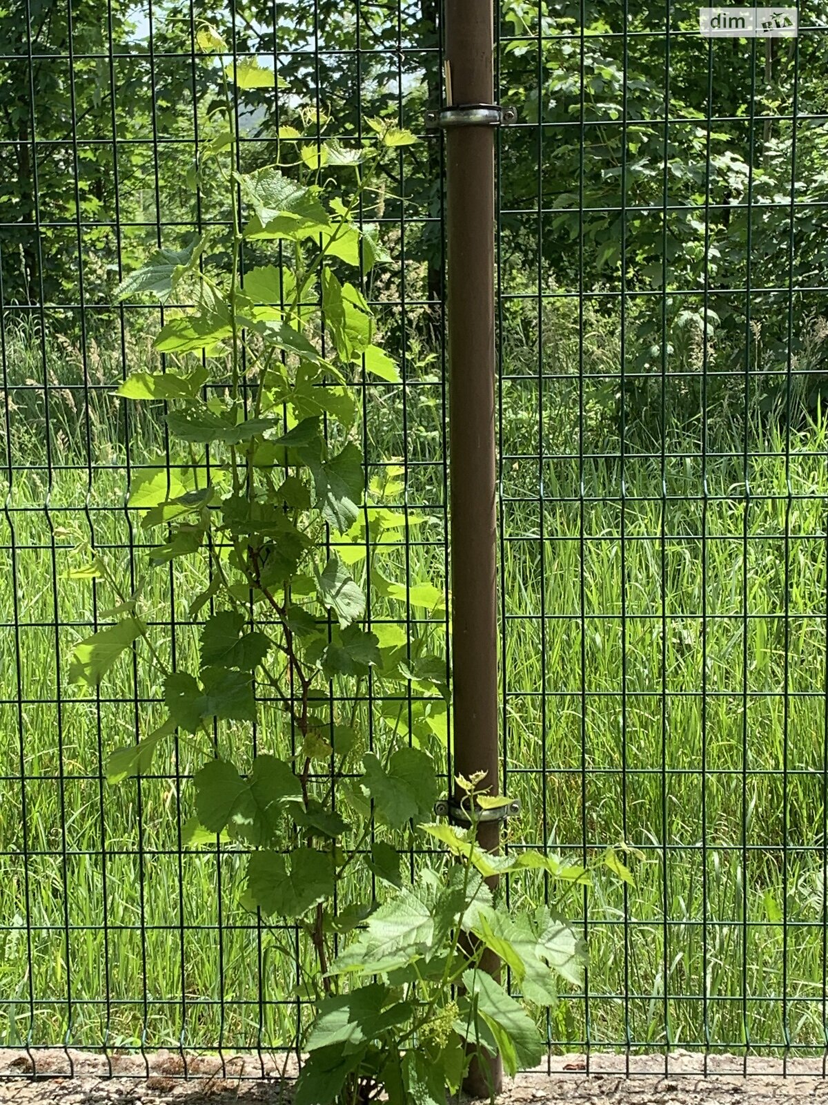 Коммерческое помещение в Солочине, Центральная улица 272, цена продажи: 299 999 долларов за объект фото 1