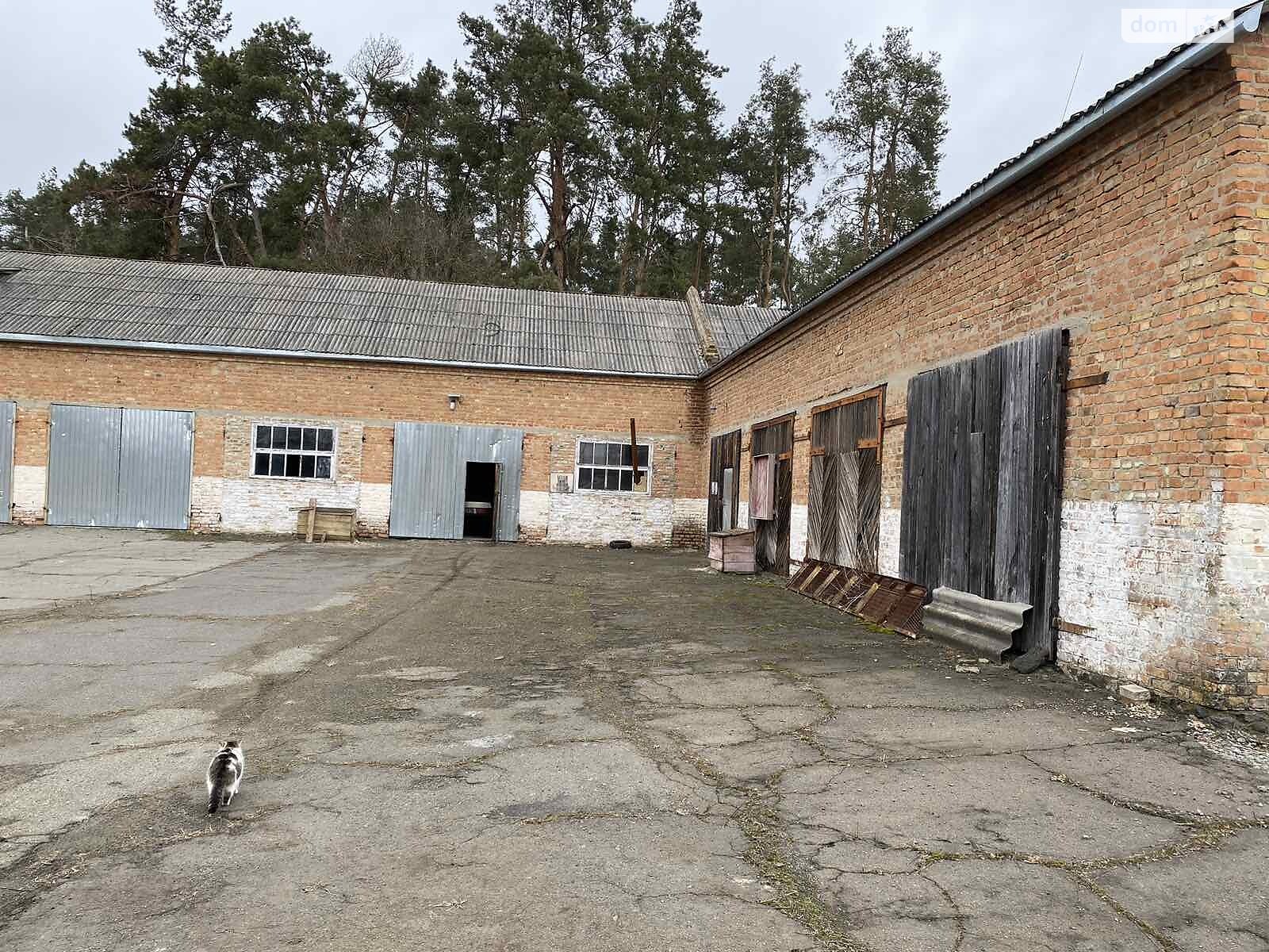 Коммерческое помещение в Староселье, Старосілля, цена: продажи 250 000 долларов за объект фото 1 Коммерческое помещение в Староселье, Старосілля, цена продажи: 250 000 долларов за объект фото 1