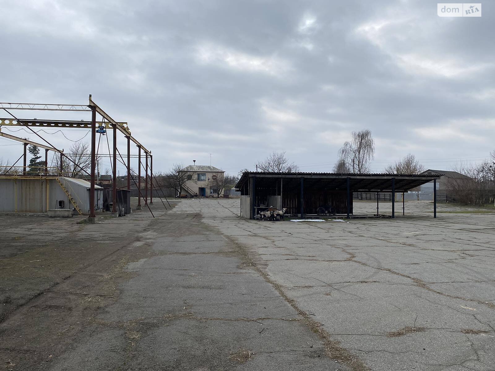 Коммерческое помещение в Староселье, Старосілля, цена: продажи 250 000 долларов за объект фото 1 Коммерческое помещение в Староселье, Старосілля, цена продажи: 250 000 долларов за объект фото 1