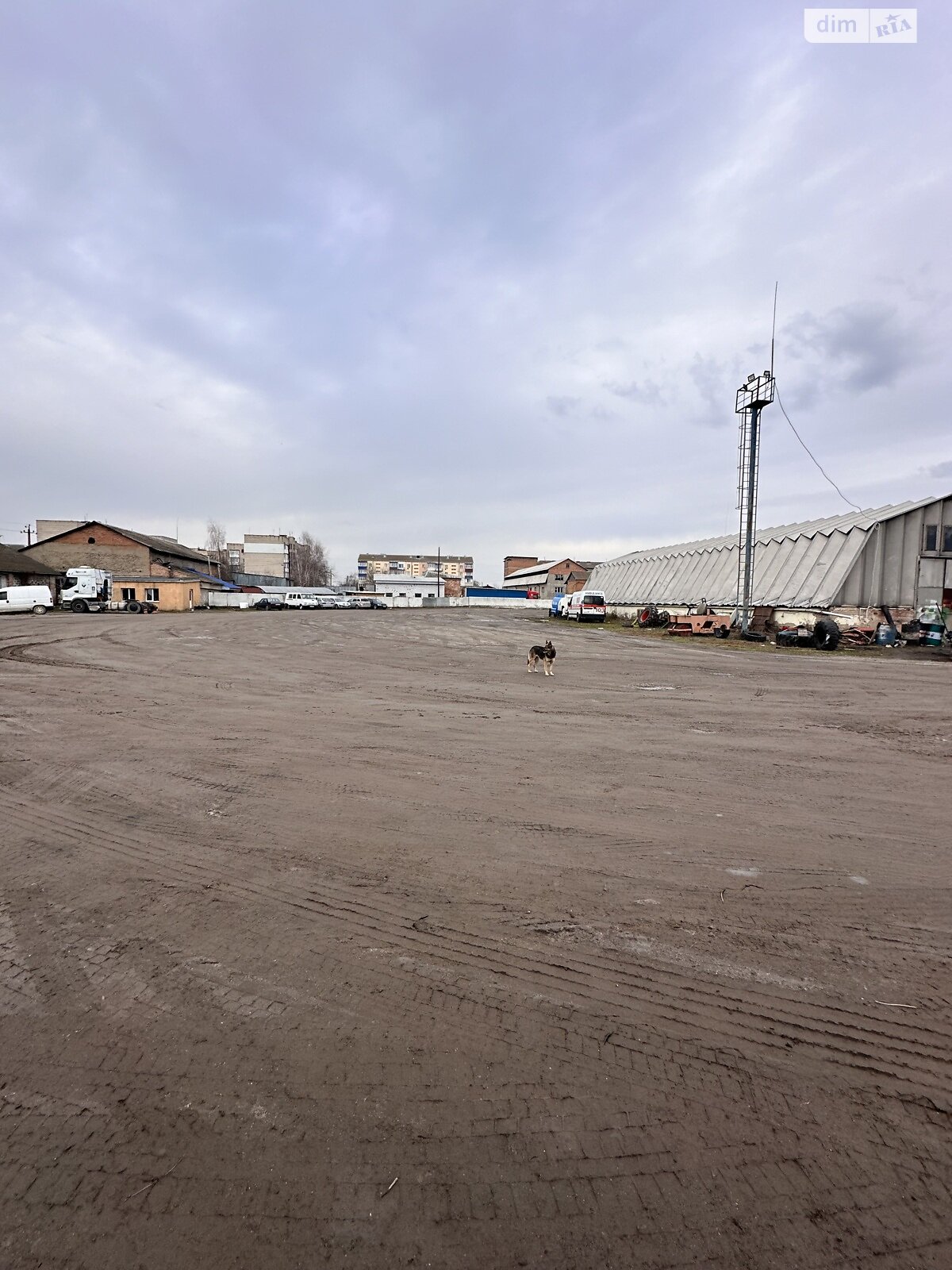 Комерційне приміщення в Стрижавці, Будівельна вулиця, ціна продажу: 600 000 доларів за об’єкт фото 1 Комерційне приміщення в Стрижавці, Будівельна вулиця, ціна продажу: 600 000 доларів за об’єкт фото 1