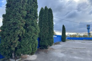 Коммерческое помещение в Стрижавке, Строительная улица, цена продажи: 600 000 долларов за объект фото 2