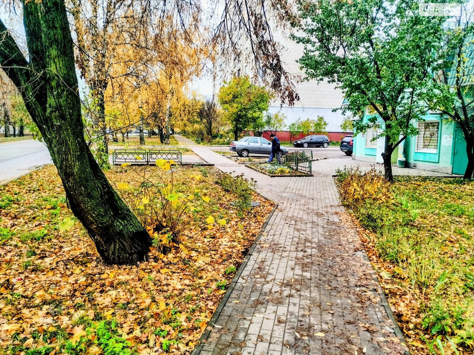 Коммерческое помещение в Сумах, продажа по Табалы Сергия (Севера) улица, район Заречный, цена: 75 000 долларов за объект фото 1 Коммерческое помещение в Сумах, продажа по Табалы Сергия (Севера) улица, район Заречный, цена: 75 000 долларов за объект фото 1