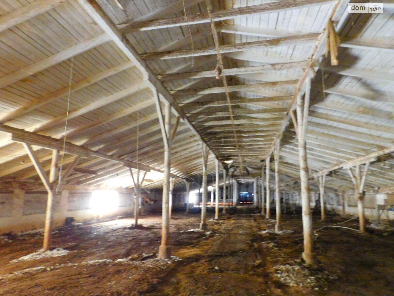 Коммерческое помещение в Сутисках, Первомайская улица, цена: продажи 315 000 долларов за объект фото 1 Коммерческое помещение в Сутисках, Первомайская улица, цена продажи: 315 000 долларов за объект фото 1