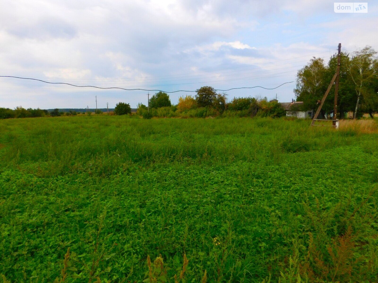 Коммерческое помещение в Сутисках, Первомайская улица, цена продажи: 315 000 долларов за объект фото 1