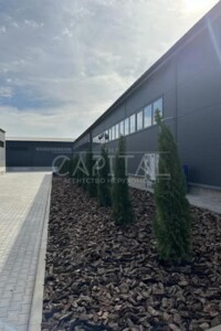 Коммерческое помещение в Святопетровское, ул. Зоряная, цена продажи: 464 700 долларов за объект фото 2