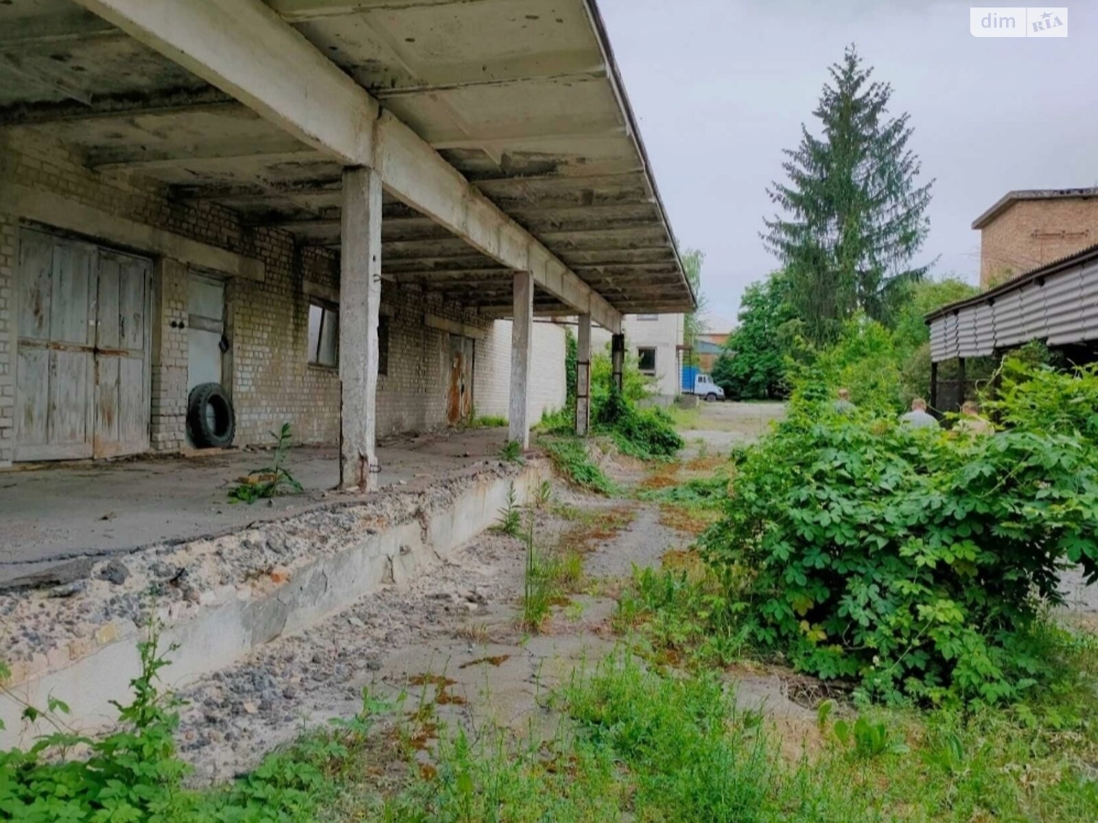 Комерційне приміщення в Таращі, продаж по Садова вулиця 28, район Тараща, ціна: 120 000 доларів за об’єкт фото 1 Комерційне приміщення в Таращі, продаж по Садова вулиця 28, район Тараща, ціна: 120 000 доларів за об’єкт фото 1