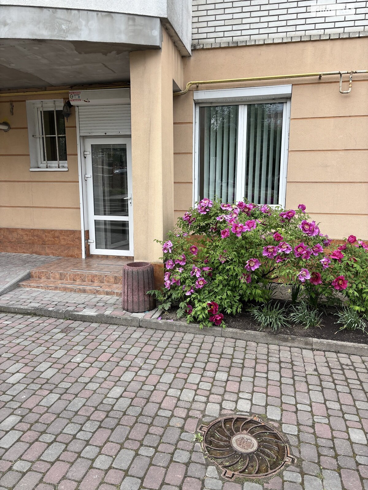 Коммерческое помещение в Тернополе, продажа по Евгения Коновальца улица, район Канада, цена: 72 000 долларов за объект фото 1 Коммерческое помещение в Тернополе, продажа по Евгения Коновальца улица, район Канада, цена: 72 000 долларов за объект фото 1