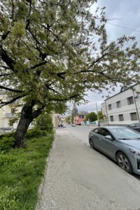 Комерційне приміщення в Тернополі, Острозького Князя вулиця 28, ціна продажу: 24 000 доларів за об’єкт фото 2