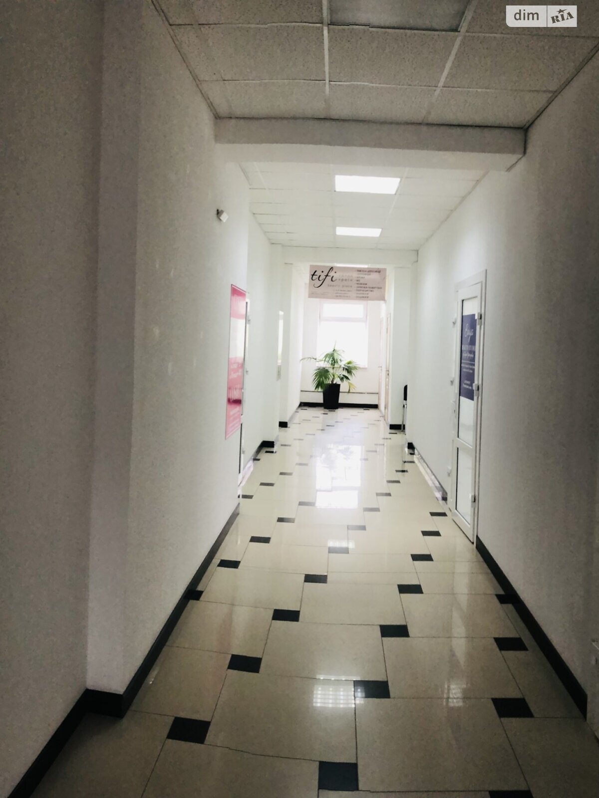 Коммерческое помещение в Тернополе, продажа по Торговица (Живова Анатолия) улица 15Б, район Центр, цена: 51 150 долларов за объект фото 1 Коммерческое помещение в Тернополе, продажа по Торговица (Живова Анатолия) улица 15Б, район Центр, цена: 51 150 долларов за объект фото 1