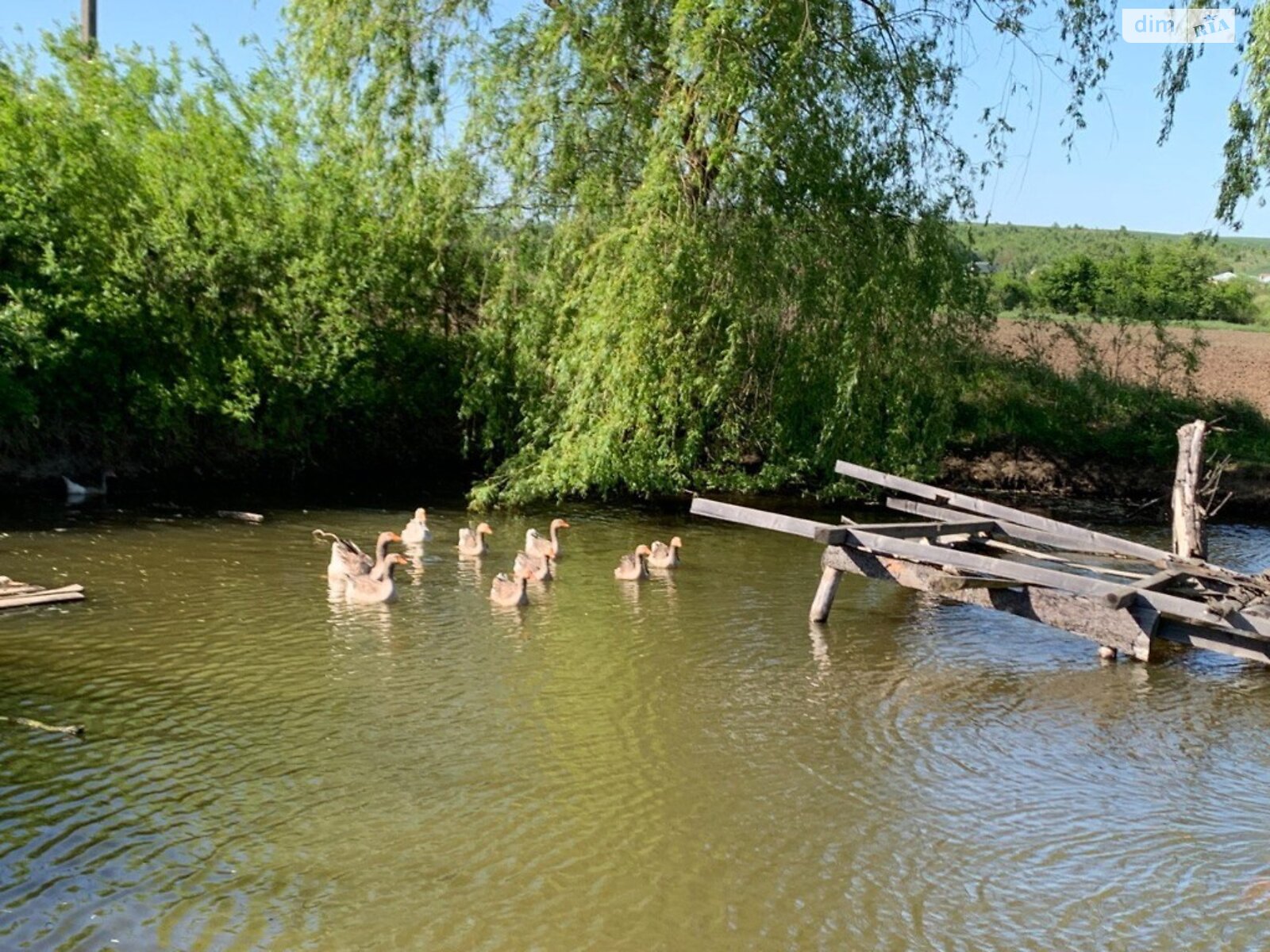 Комерційне приміщення в Тисмениці, Тараса Шевченка вулиця, ціна продажу: 850 000 доларів за об’єкт фото 1