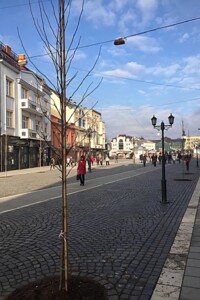 Комерційне приміщення в Ужгороді, Петефі Шандора площа, ціна продажу: 450 000 доларів за об’єкт фото 2