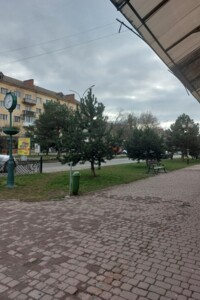 Коммерческое помещение в Ужгороде, продажа по Свободы проспект, район Центр, цена: 125 000 долларов за объект фото 2