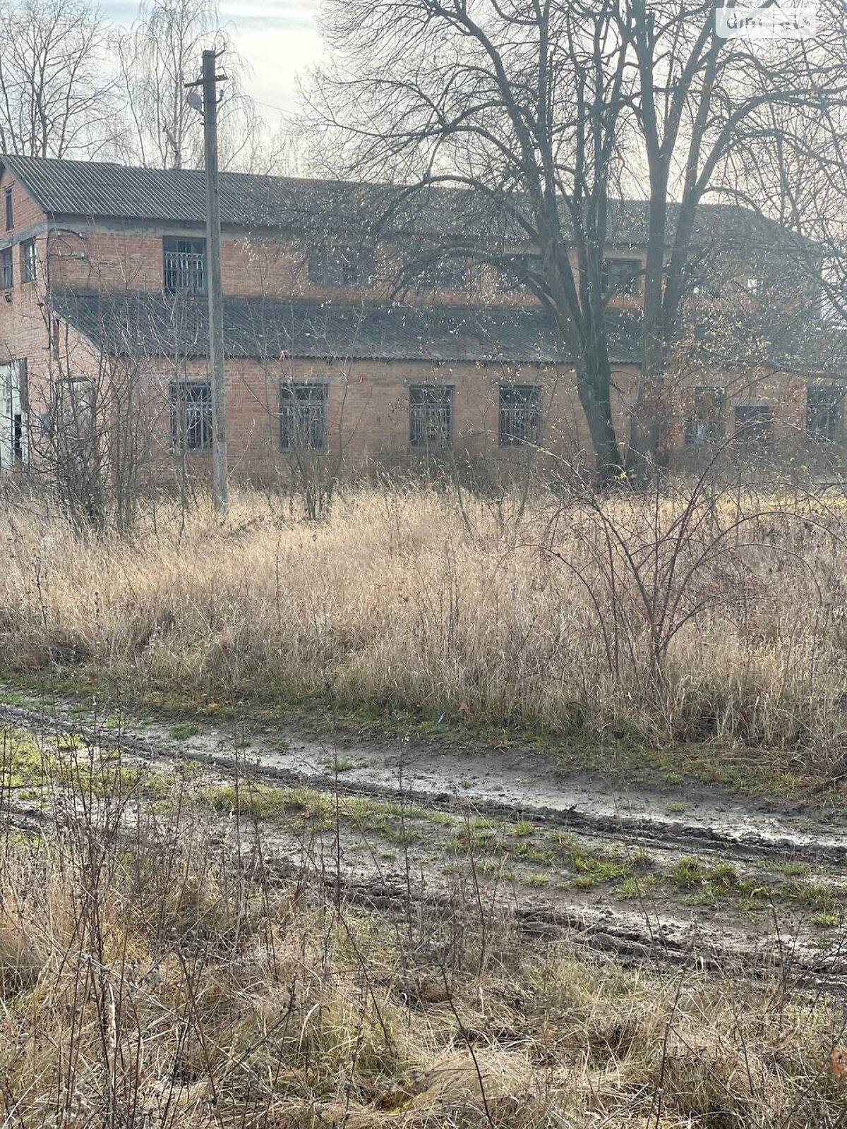 Коммерческое помещение в Уяринцах, Шевченко улица 42, цена: продажи 35 000 долларов за объект фото 1 Коммерческое помещение в Уяринцах, Шевченко улица 42, цена продажи: 35 000 долларов за объект фото 1