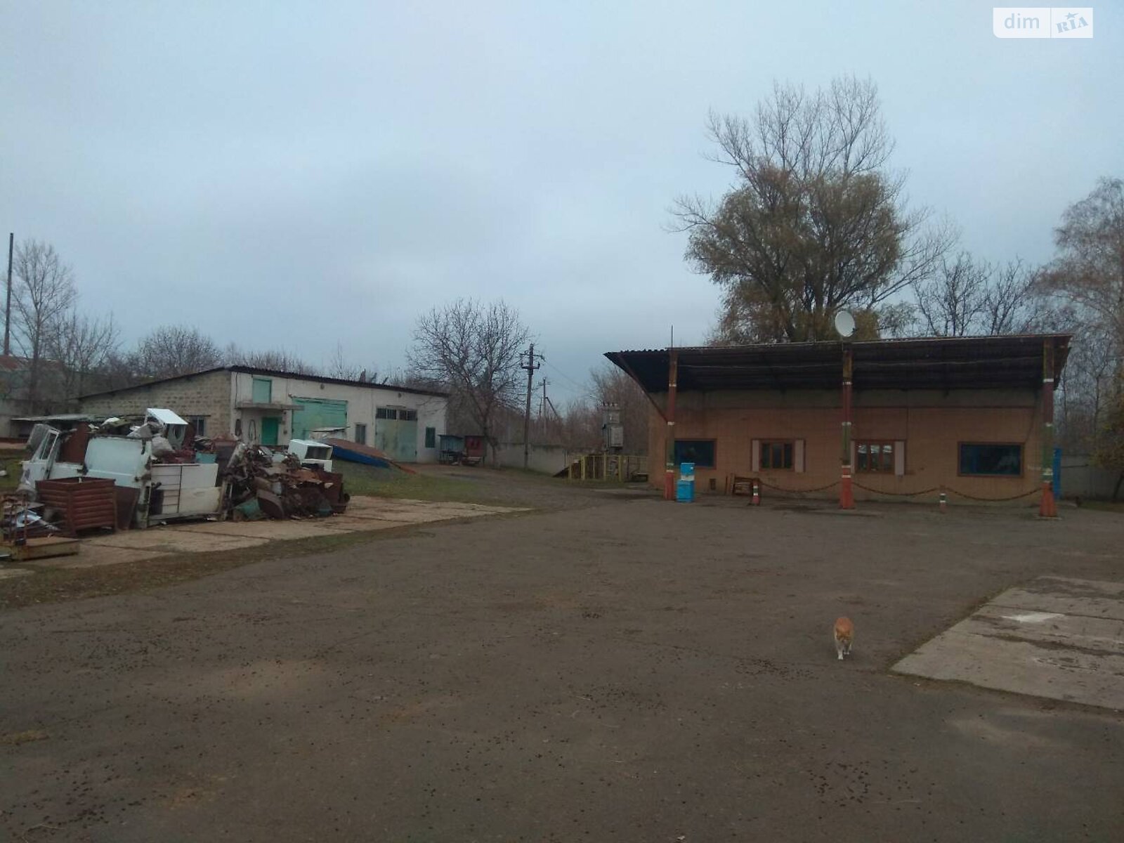 Коммерческое помещение в Ватутино, продажа по Кривошеи улица 105, район Ватутино, цена: 40 000 долларов за объект фото 1 Коммерческое помещение в Ватутино, продажа по Кривошеи улица 105, район Ватутино, цена: 40 000 долларов за объект фото 1