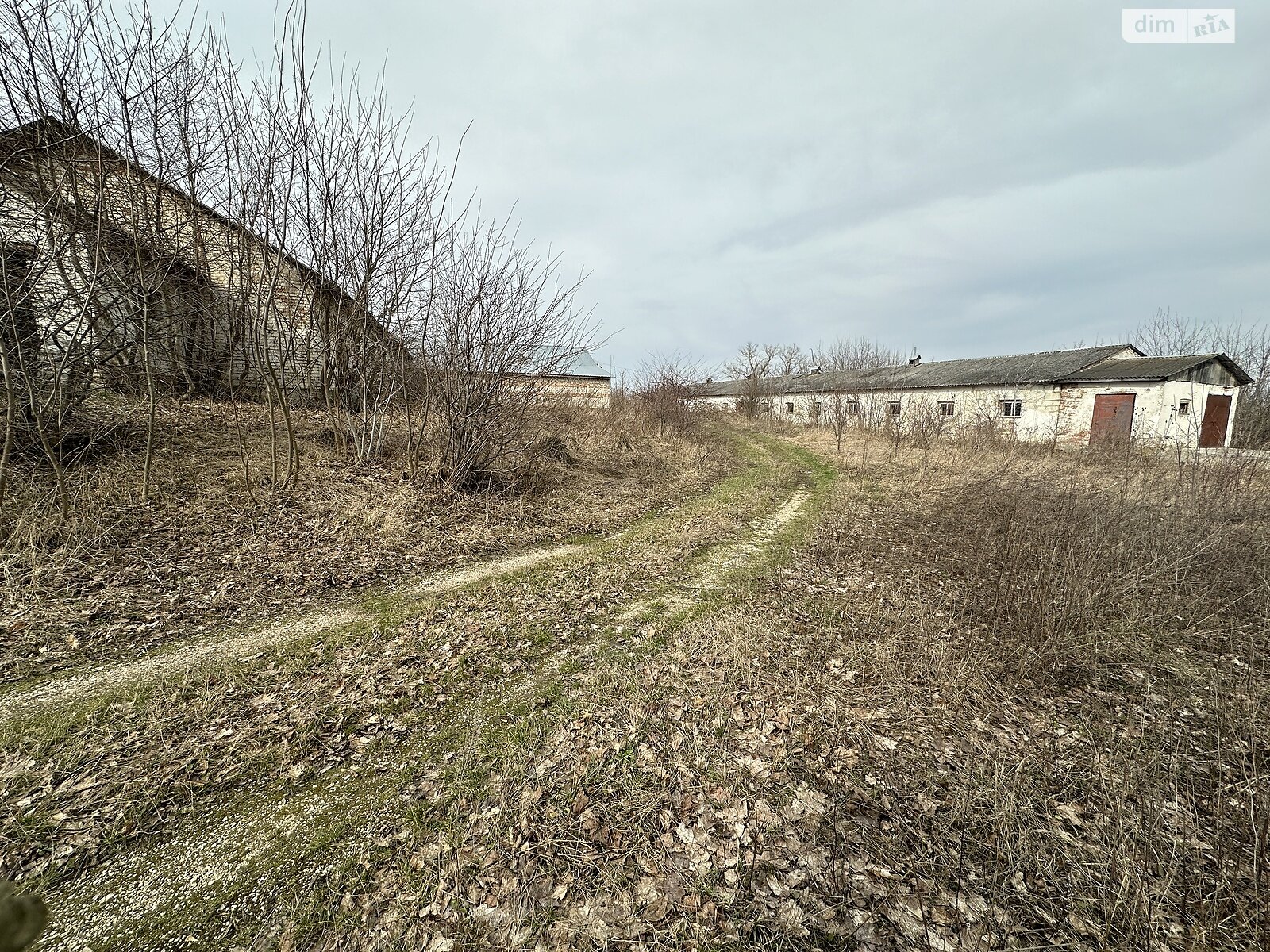 Коммерческое помещение в Великом Глубочке, Тернопольская улица, цена продажи: 160 000 долларов за объект фото 1