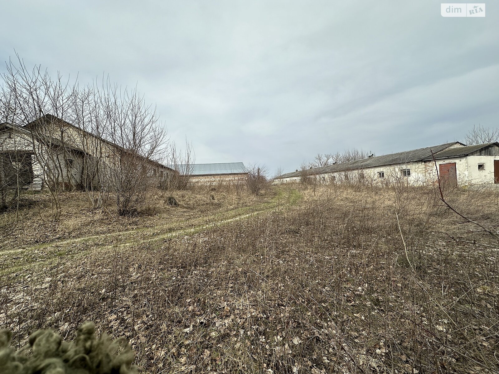 Коммерческое помещение в Великом Глубочке, Тернопольская улица, цена продажи: 160 000 долларов за объект фото 1