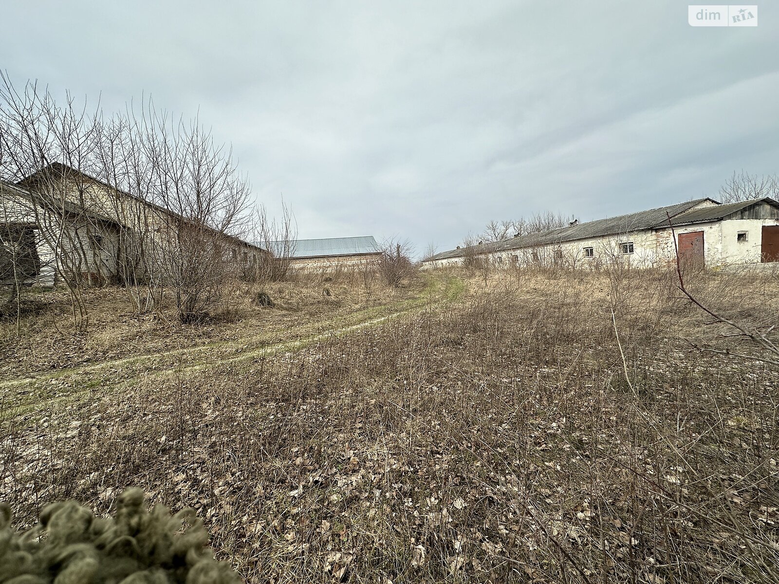 Коммерческое помещение в Великом Глубочке, Тернопольская улица, цена продажи: 160 000 долларов за объект фото 1