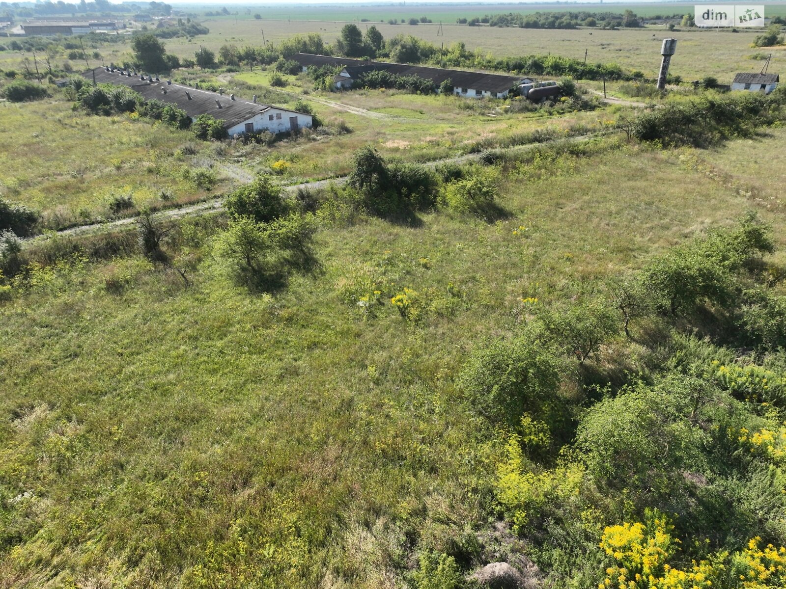 Комерційне приміщення в Весняне, Польова, ціна продажу: 10 000 долларів за об’єкт фото 1