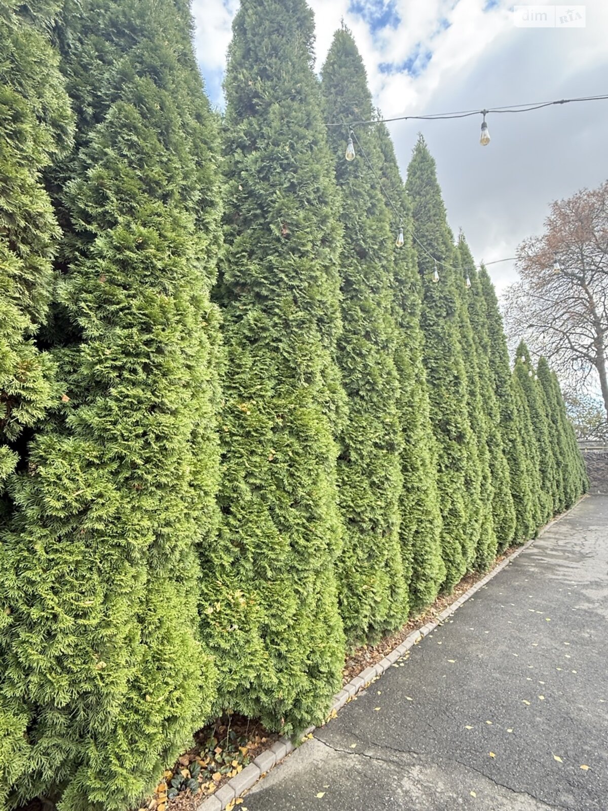 Коммерческое помещение в Виннице, продажа по Пирогова улица, район Пирогово, цена: 350 000 долларов за объект фото 1