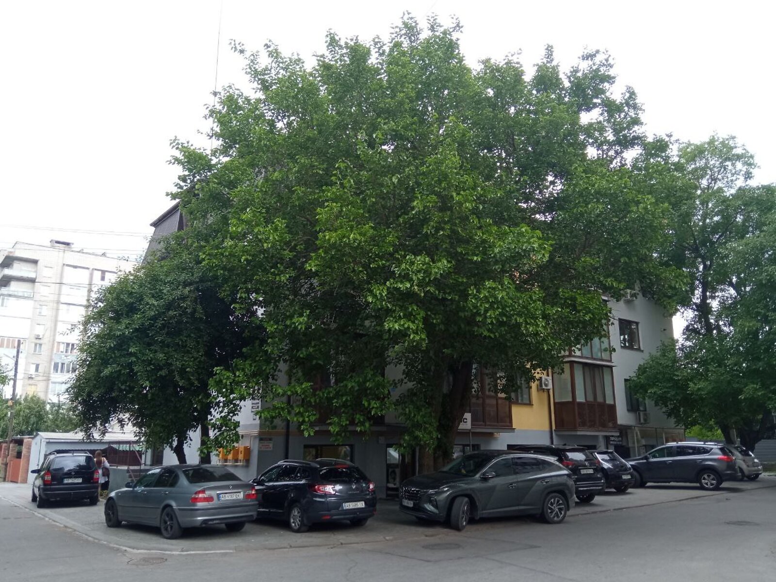 Комерційне приміщення в Вінниці, продаж по Наскрізний провулок, район Слов’янка, ціна: 74 999 доларів за об’єкт фото 1 Комерційне приміщення в Вінниці, продаж по Наскрізний провулок, район Слов’янка, ціна: 74 999 доларів за об’єкт фото 1