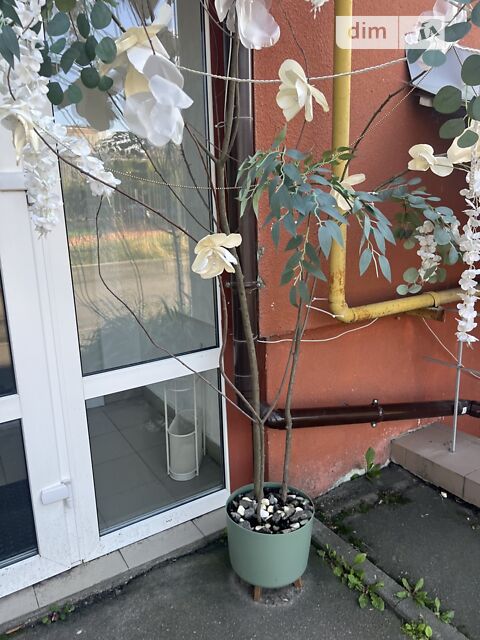 Комерційна нерухомість за адресою (площа 98,4 м²) - Atlanta.ua - фото 2