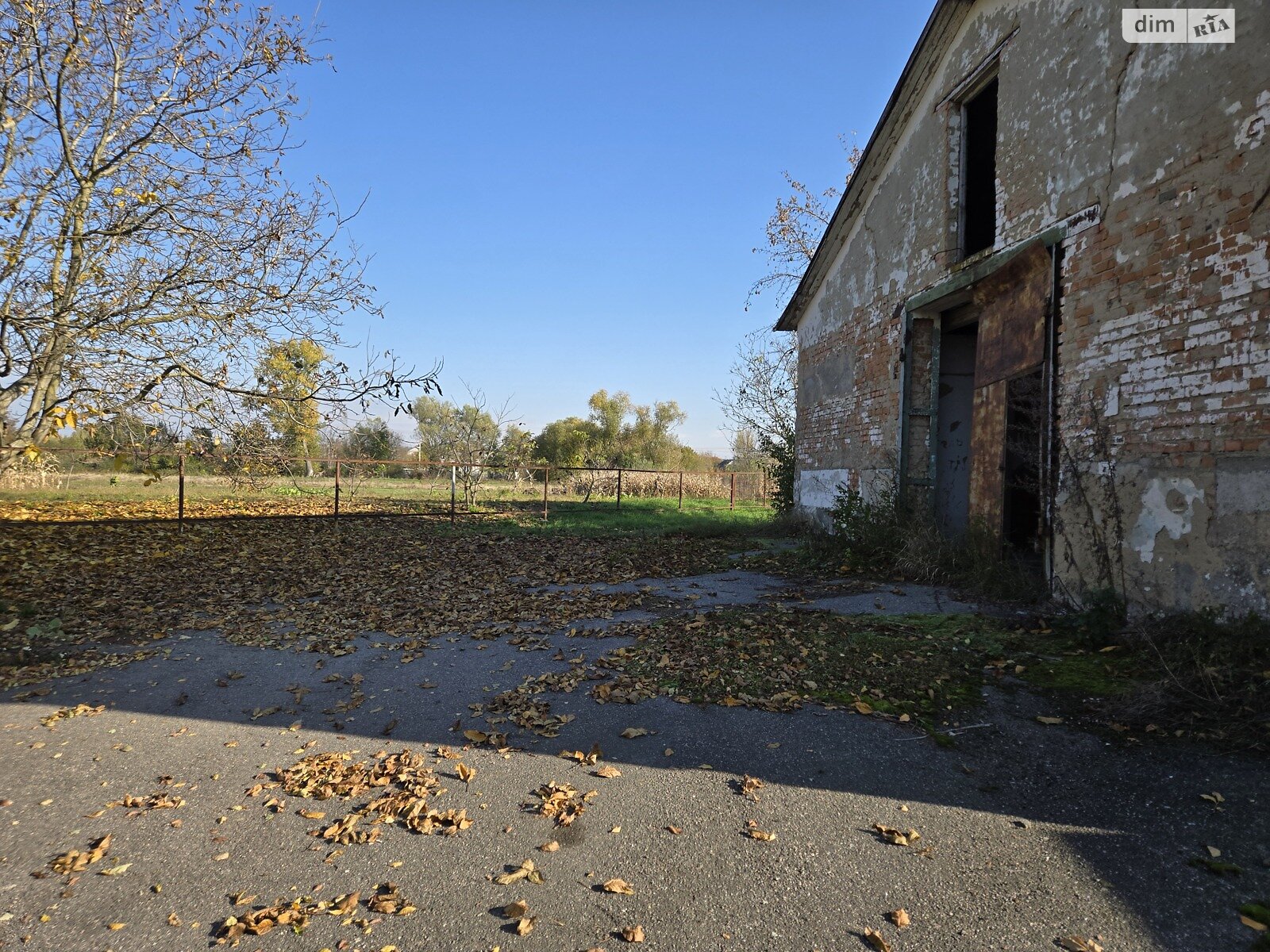 Коммерческое помещение в Широкой Гребле, Тараса Шевченко улица, цена: продажи 30 000 долларов за объект фото 1 Коммерческое помещение в Широкой Гребле, Тараса Шевченко улица, цена продажи: 30 000 долларов за объект фото 1