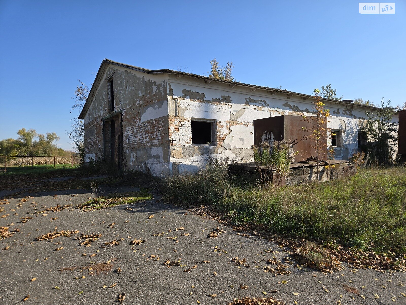 Коммерческое помещение в Широкой Гребле, Тараса Шевченко улица, цена: продажи 30 000 долларов за объект фото 1 Коммерческое помещение в Широкой Гребле, Тараса Шевченко улица, цена продажи: 30 000 долларов за объект фото 1