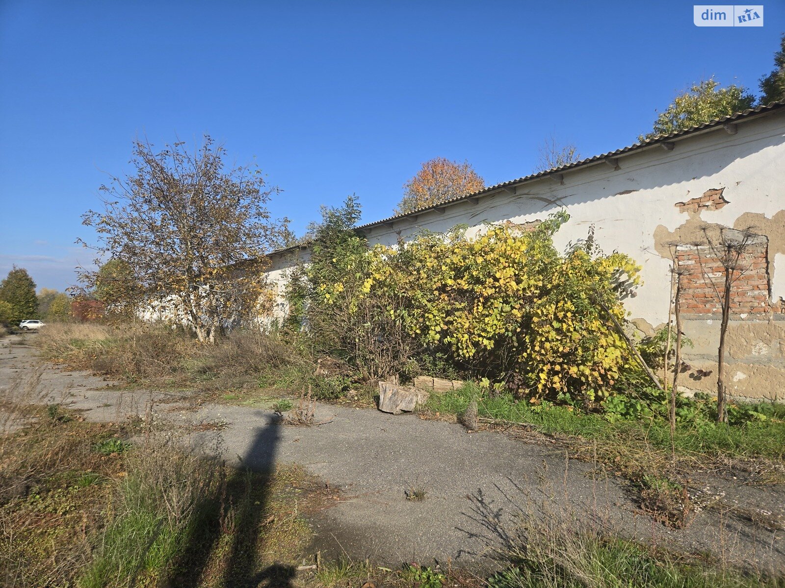 Коммерческое помещение в Широкой Гребле, Тараса Шевченко улица, цена: продажи 30 000 долларов за объект фото 1 Коммерческое помещение в Широкой Гребле, Тараса Шевченко улица, цена продажи: 30 000 долларов за объект фото 1