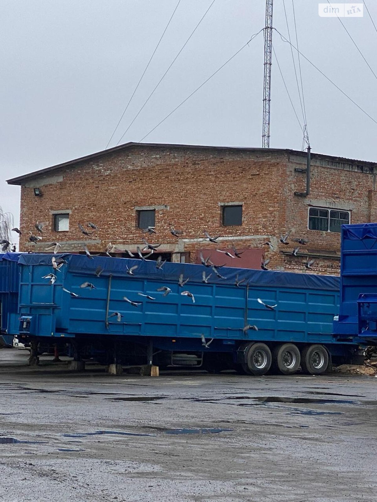 Коммерческое помещение в Володарке, Мира переулок, цена: продажи 750 000 долларов за объект фото 1 Коммерческое помещение в Володарке, Мира переулок, цена продажи: 750 000 долларов за объект фото 1
