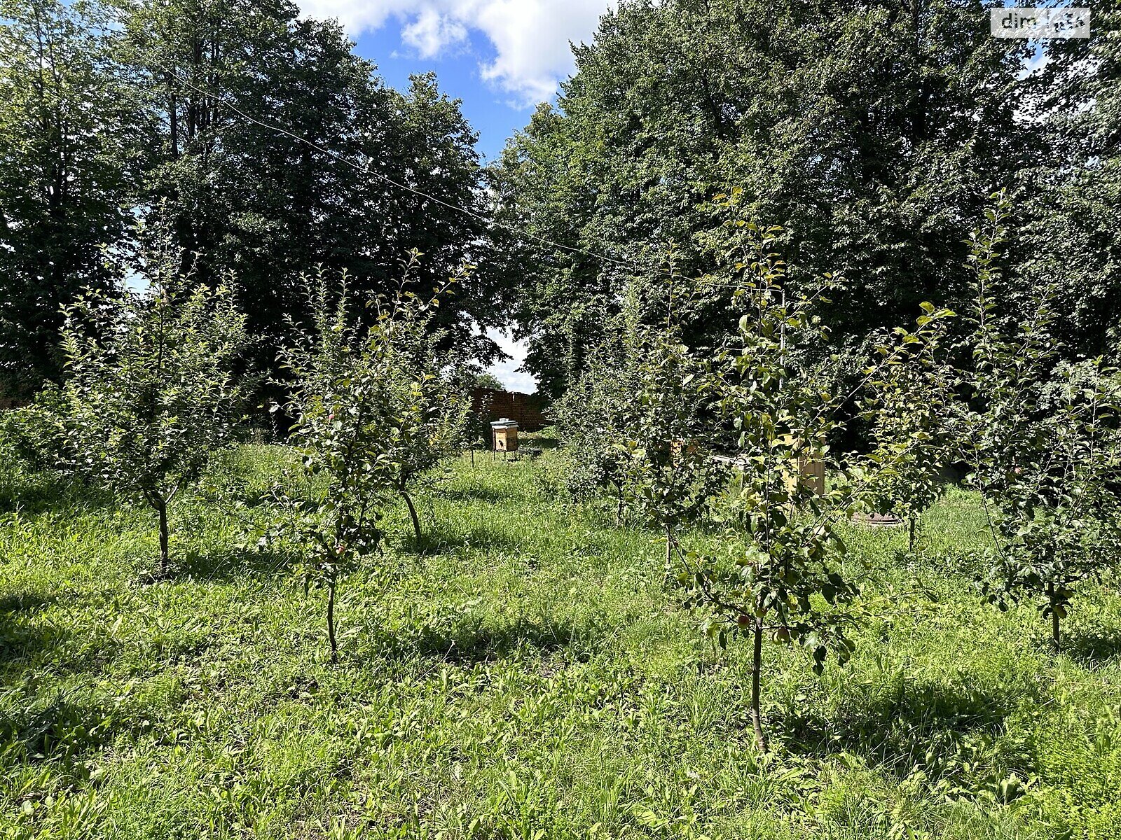 Комерційне приміщення в Війтівці, Героїв України вулиця, ціна продажу: 320 000 долларів за об’єкт фото 1