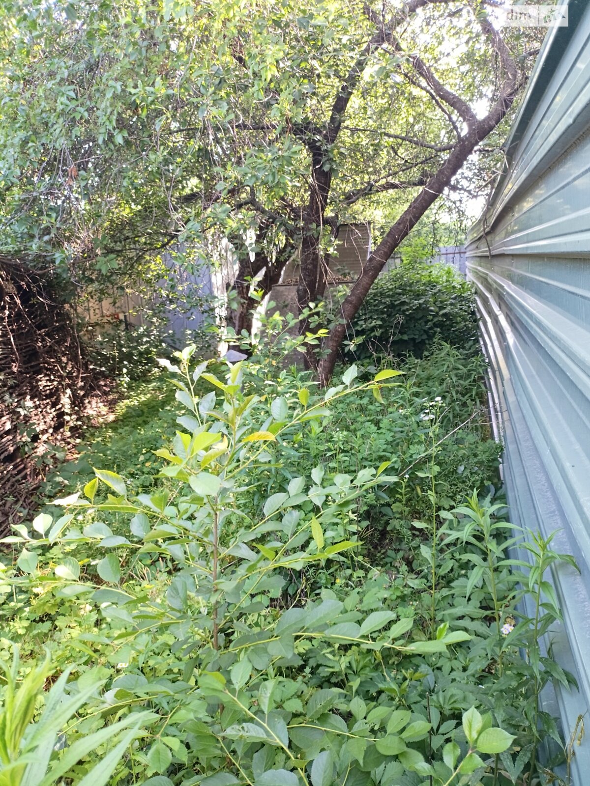 Коммерческое помещение в Высоком, продажа по Ощепочная улица, цена: 250 000 долларов за объект фото 1 Коммерческое помещение в Высоком, продажа по Ощепочная улица, цена: 250 000 долларов за объект фото 1