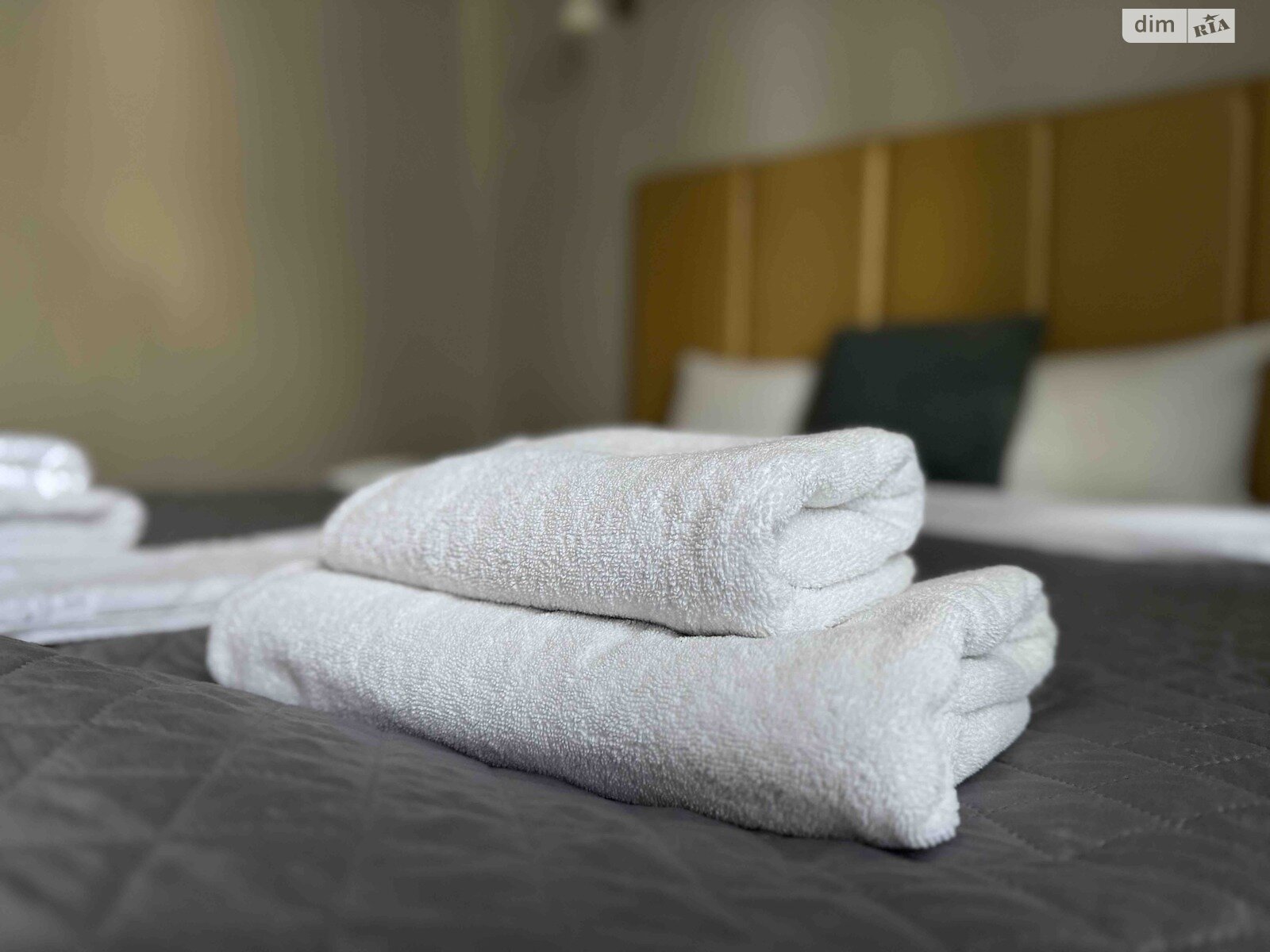 Коммерческое помещение в Севериновке, Богдана Хмельницкого улица 2, цена продажи: 1 020 000 долларов за объект фото 1