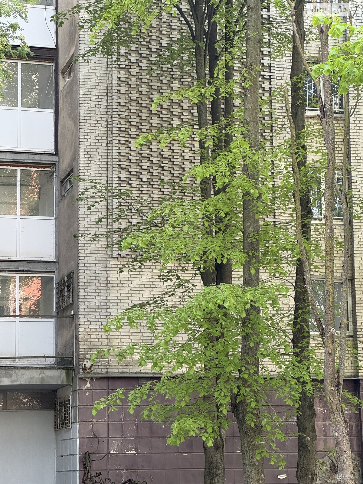 Комната в Львове, на ул. Крымская 28 в районе Снопков на продажу фото 1 Комната в Львове, на ул. Крымская 28 в районе Снопков на продажу фото 1