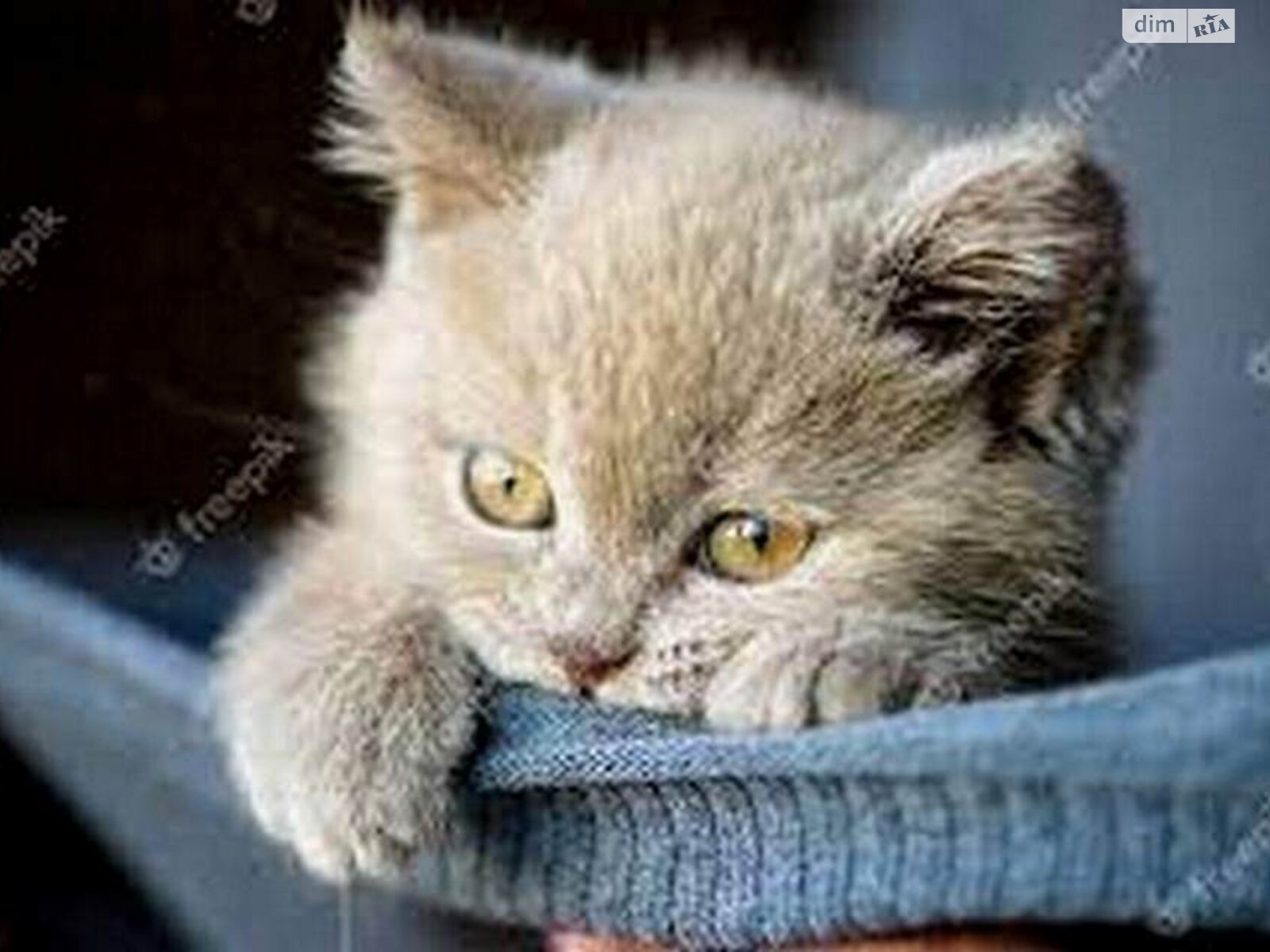 Комната в Одессе, на ул. Инглези в районе Черемушки на продажу фото 1