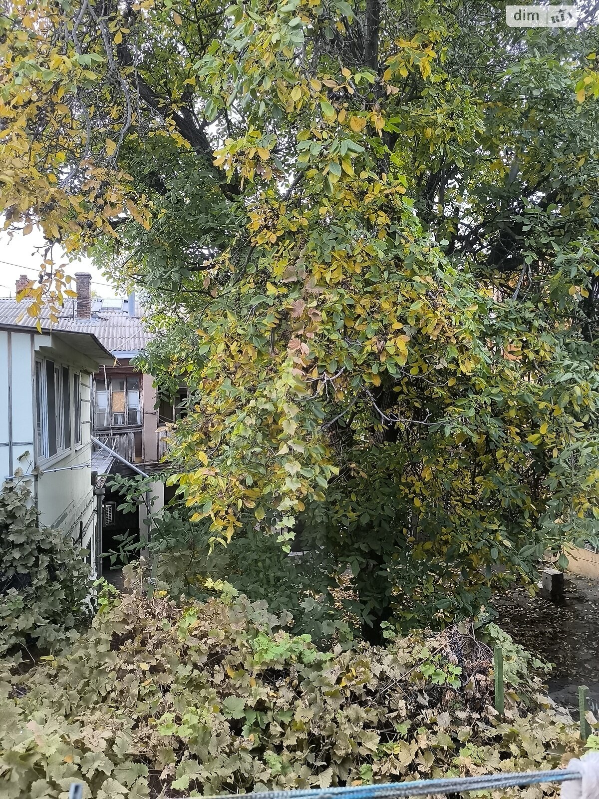 Комната в Одессе, на ул. Новосельского 43 в районе Приморский на продажу фото 1