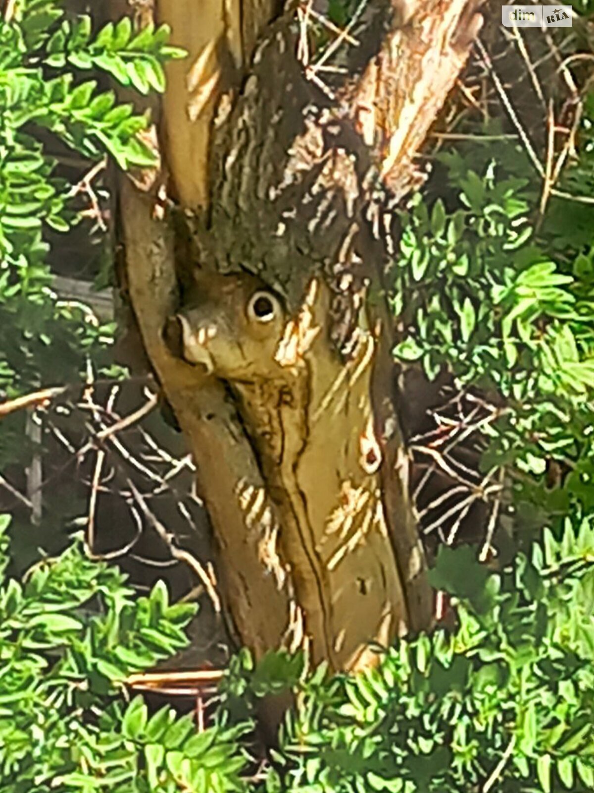 Комната в Одессе, на ул. Ольгиевская 17 в районе Приморский на продажу фото 1