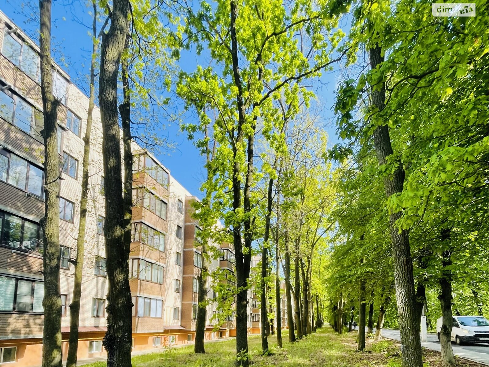 Продажа однокомнатной квартиры в Агрономичном, на ул. Центральная, фото 1 Продажа однокомнатной квартиры в Агрономичном, на ул. Центральная, фото 1