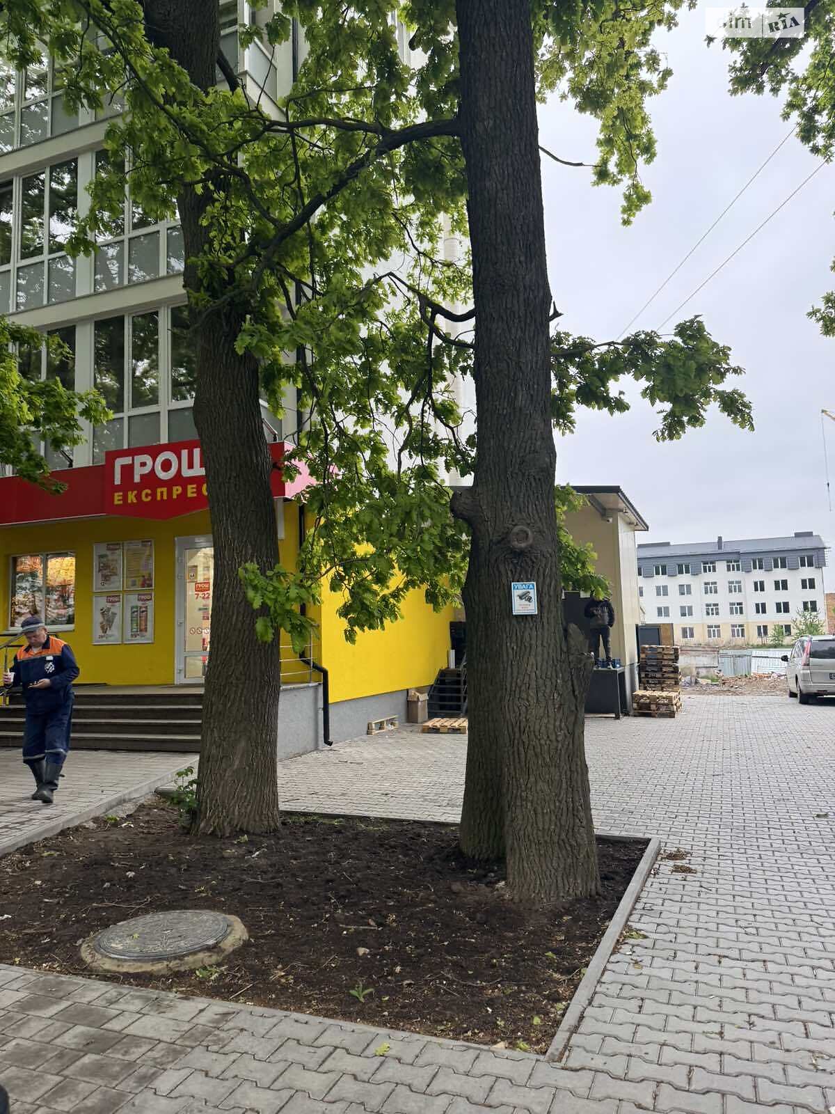 Продажа однокомнатной квартиры в Агрономичном, на ул. Замковая, фото 1 Продажа однокомнатной квартиры в Агрономичном, на ул. Замковая, фото 1
